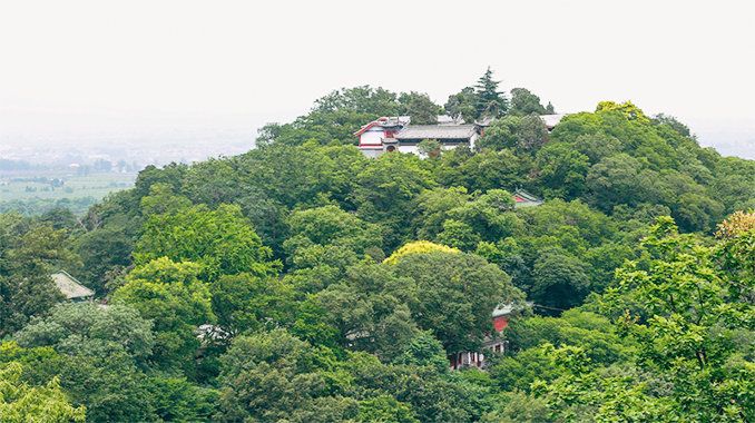 楼观台国家森林公园