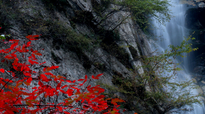 秋赏满山红叶色彩斑斓