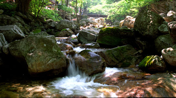 水景